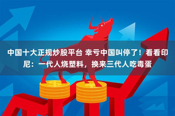 中国十大正规炒股平台 幸亏中国叫停了！看看印尼：一代人烧塑料，换来三代人吃毒蛋